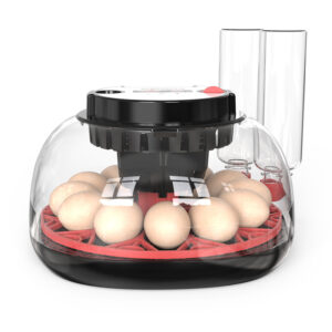 Mini 12 Eggs Incubator