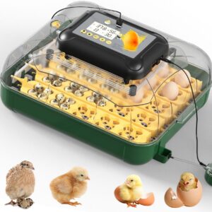 Mini 30 Egg Incubator