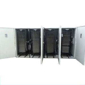 Automatic 22528 eggs incubator