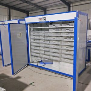 Automatic 3168 eggs incubator