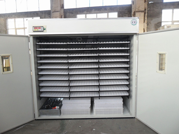 Automatic 4224 eggs incubator