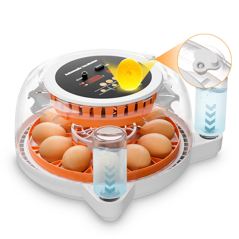 Automatic 12 Egg Incubator