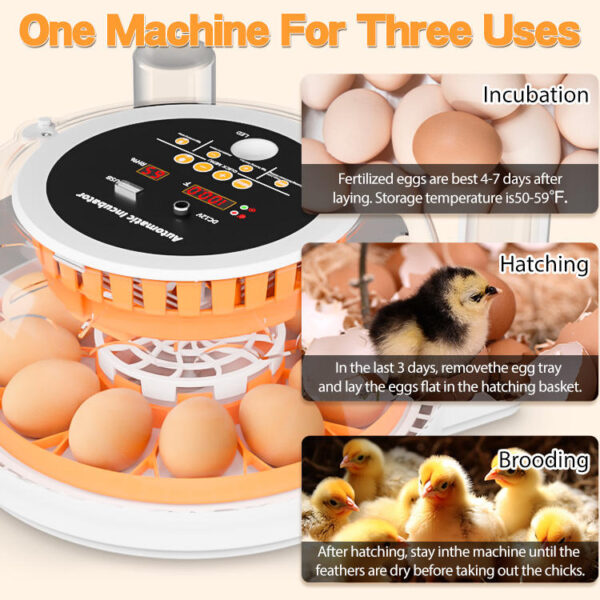Automatic 12 Egg Incubator