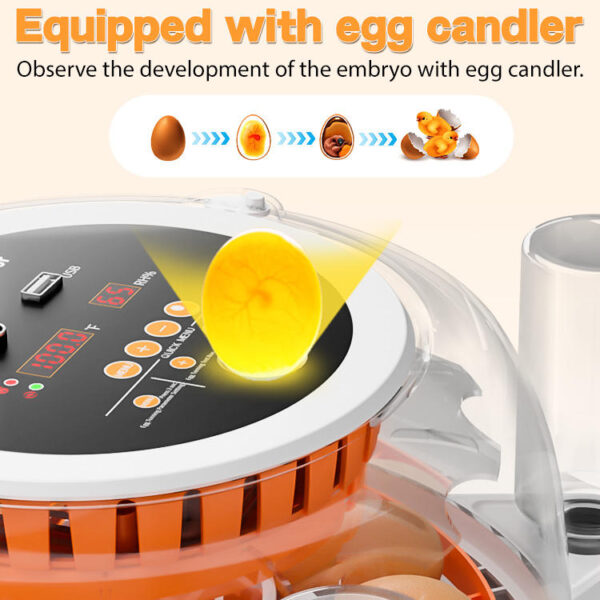Automatic 12 Egg Incubator
