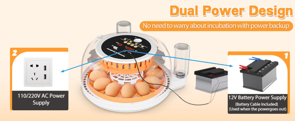 Automatic 12 Egg Incubator