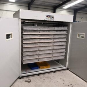 Automatic 5280 eggs incubator
