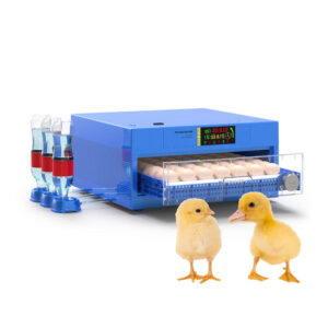 Automatic Egg Incubator for 36/64/124/192/256 Eggs