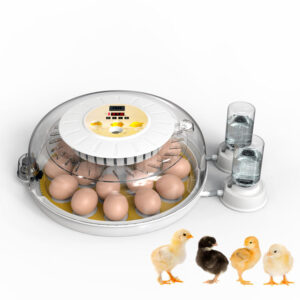 8/18 Egg Incubator
